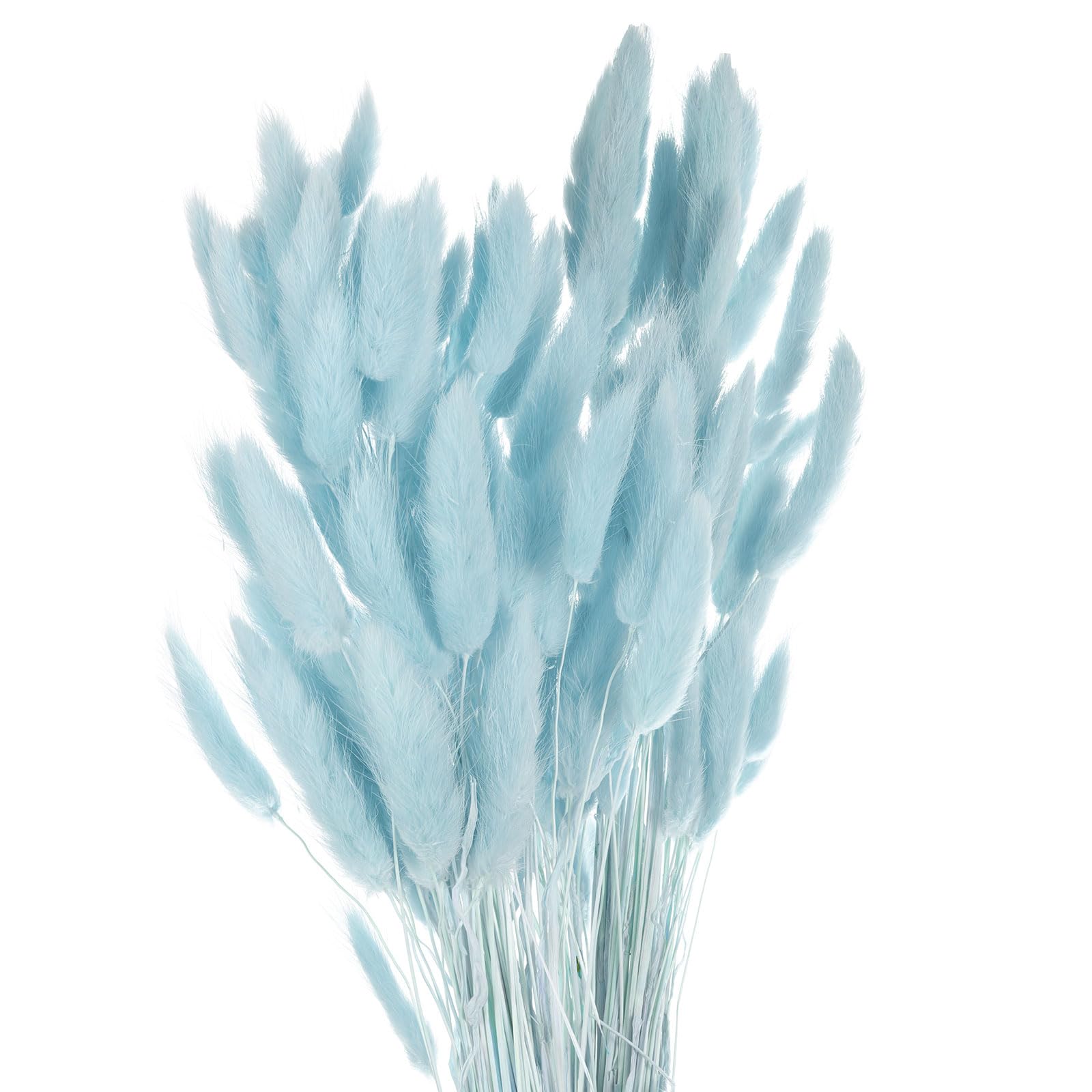 120pcs Sky Blue Natural Bunny Tails Dried Flowers, 24" Pampas Grass for Wedding & Home Décor-image-94f639ba-a4e2-473c-9af5-2ba9349251d0-71667