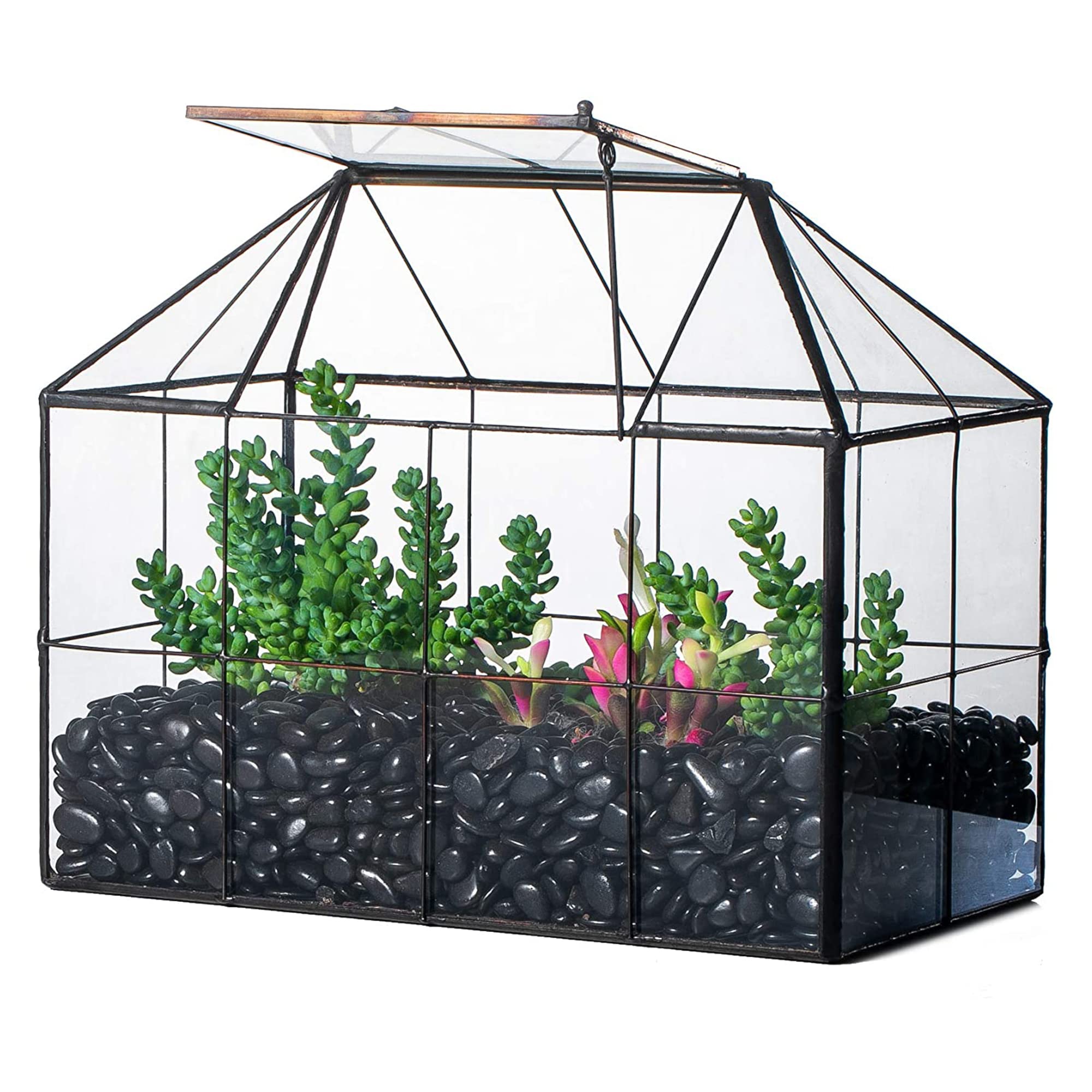 Geometric Glass Terrarium Planter - Black 25x13.5x20cm-image-f645db81-2d7d-43ce-8d80-7e4109fd11ba-117527