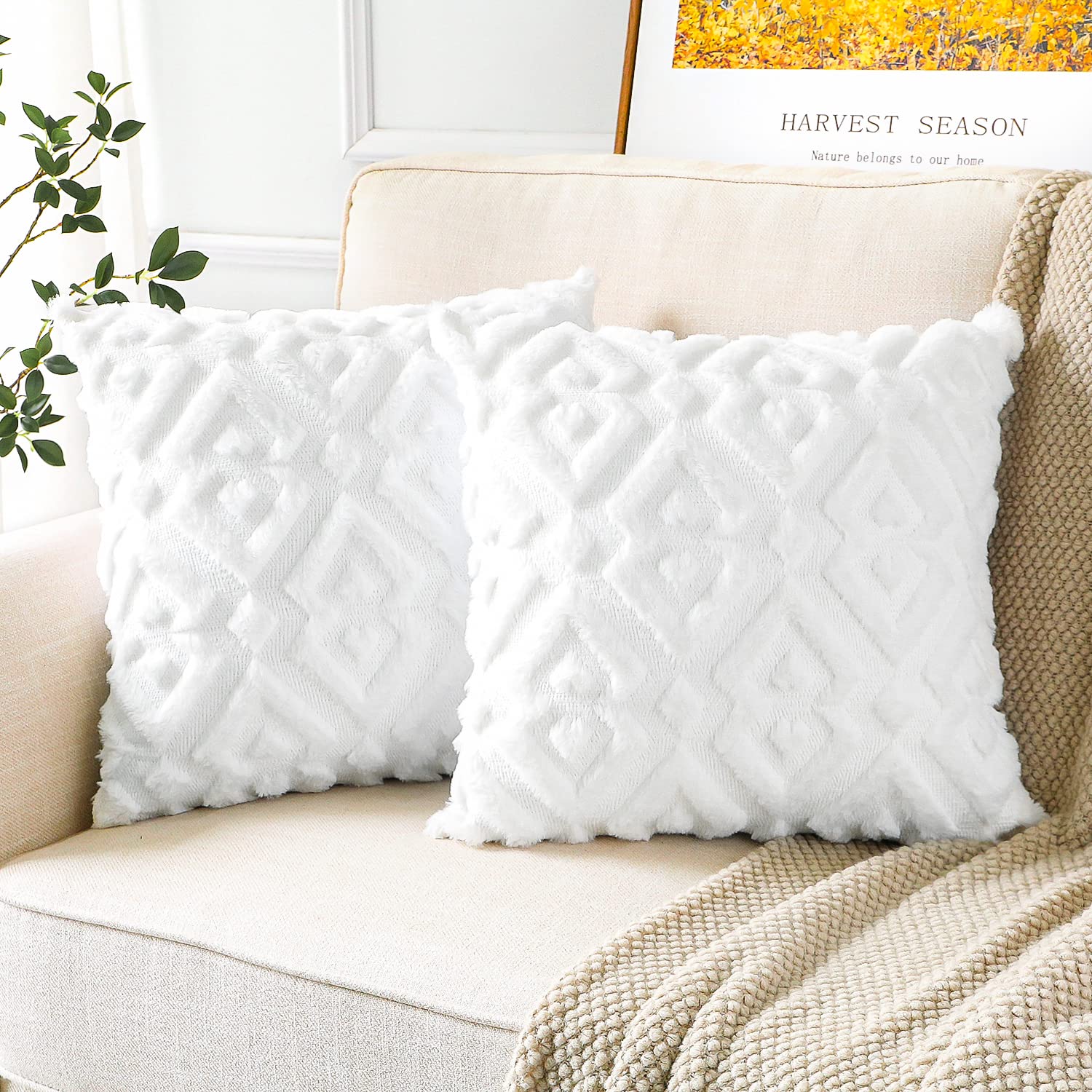 Plush Velvet Cushion Covers Pack of 2 - Pure White 60x60cm-image-b27b4af6-f771-41bc-be6b-de074da81cbb-114418