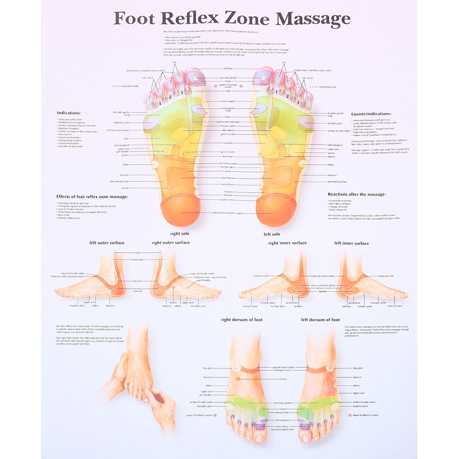 Foot Chart Poster - Canvas Educational Reflexology 15.7X11.8 Inches,-image-b4fdf8b8-490d-47a4-900c-163952bb99e5-59598