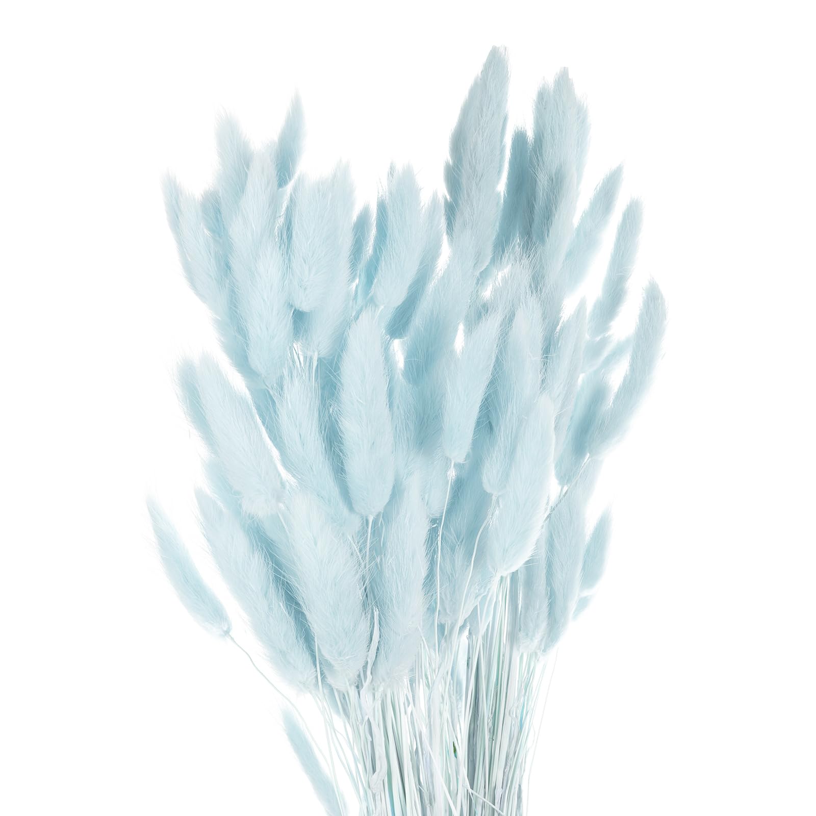 Dried Bunny Tails Pampas Grass - 24" Pale Blue-image-2ae2326c-7de3-4b38-b0e8-3ecc8dab4c0e-84723