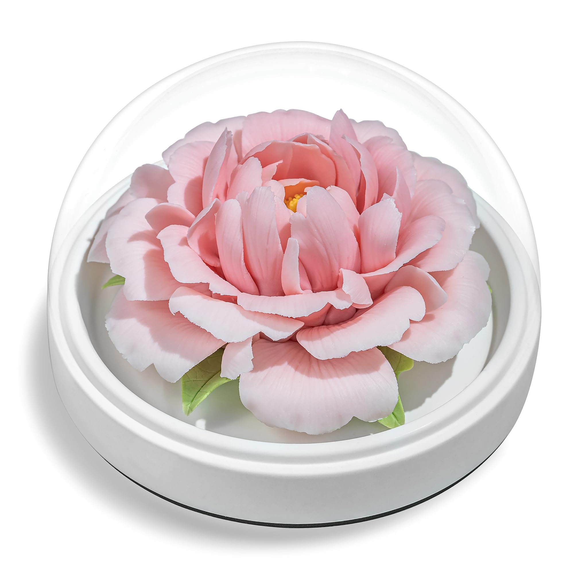 Artificial Pink Ceramic Peony Floral Dome - Perfect Gift for Mum, Wife, or Her-image-ca5fff38-b8e5-4cf0-b18b-b6377b514c4c-57418