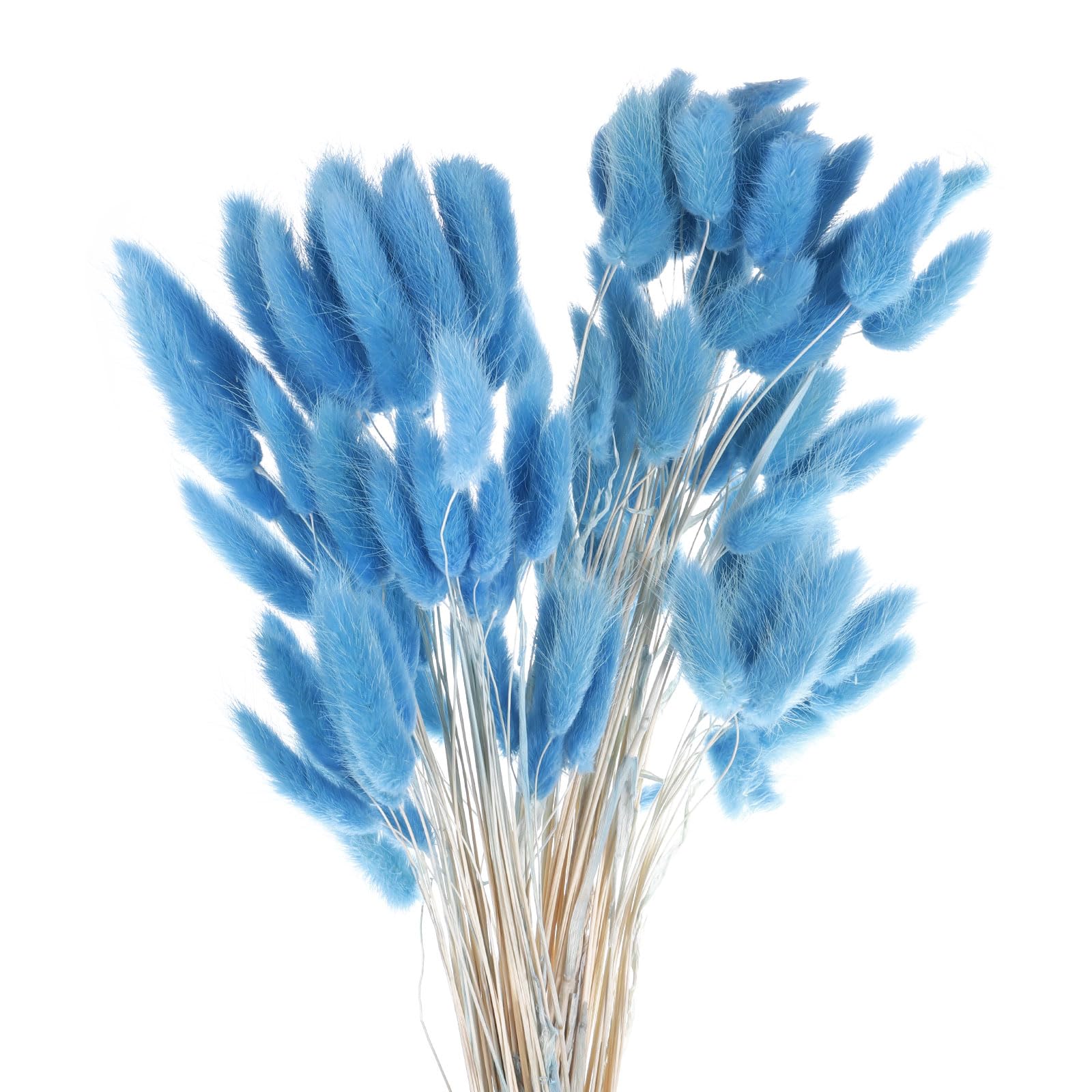 Bunny Tails Dried Flowers 120pcs - Navy Blue 24"-image-4cf71b59-a1e6-4ca8-95d4-2ffdf22b2a25-112399