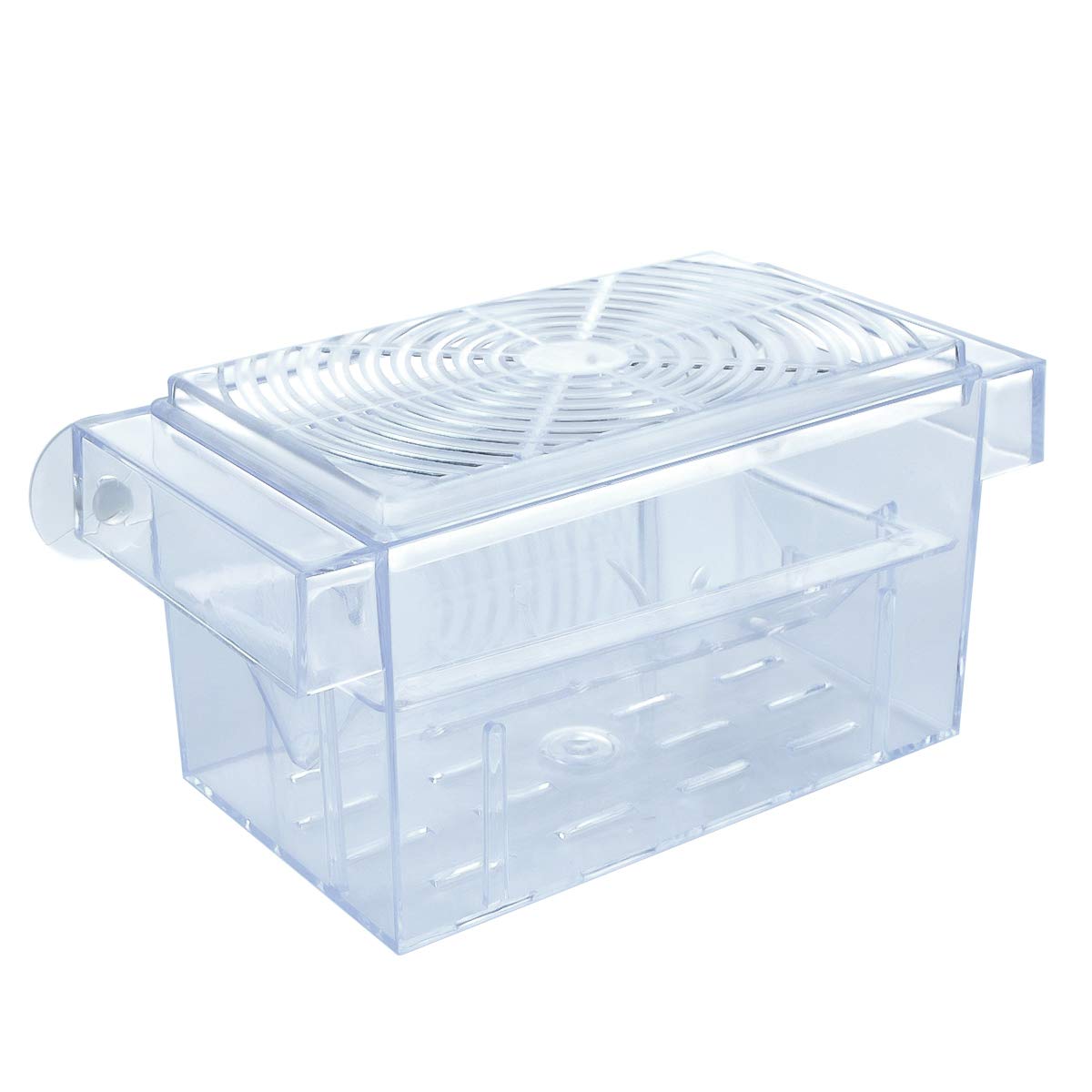Fish Breeding Box for Bettas, Guppies & Medaka - Transparent Plastic Hatchery with Suction Cups-image-c44a502a-c368-4044-96bc-5e722a0189c9-65441