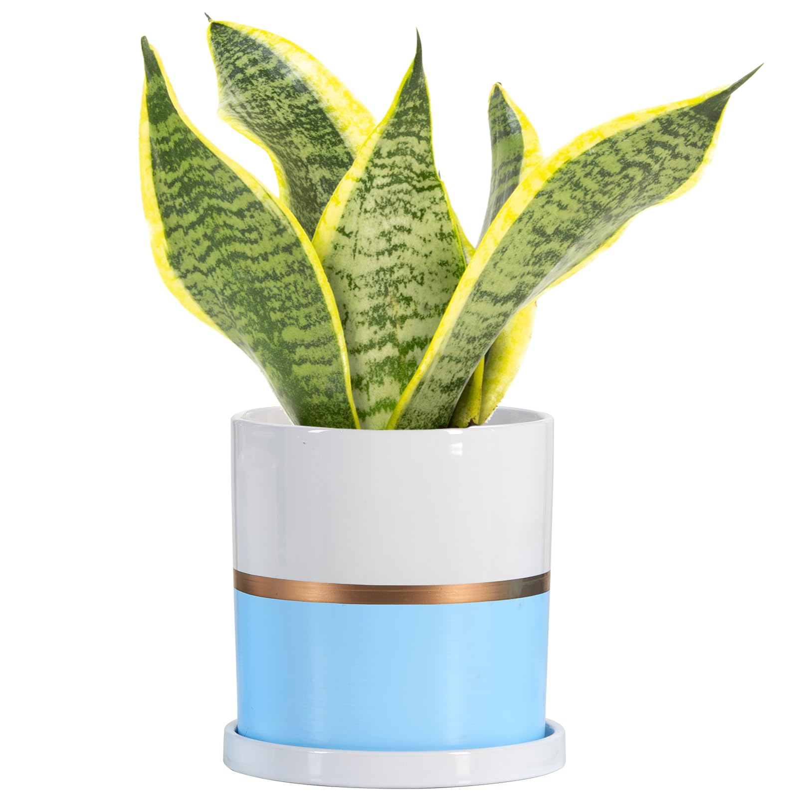 Ceramic Plant Pot with Saucer - Blue 13cm-image-db233e6c-a10b-4e73-a6ea-4916691f5b58-107093
