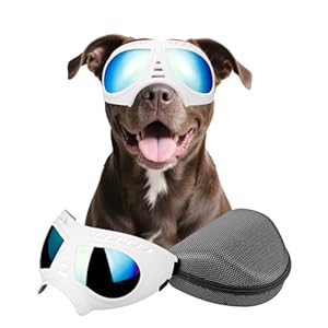 Dog Goggles Anti-UV Protection - White Small-image-ce1c5ec1-7d78-485f-a7f2-8dbffba816c8-105947