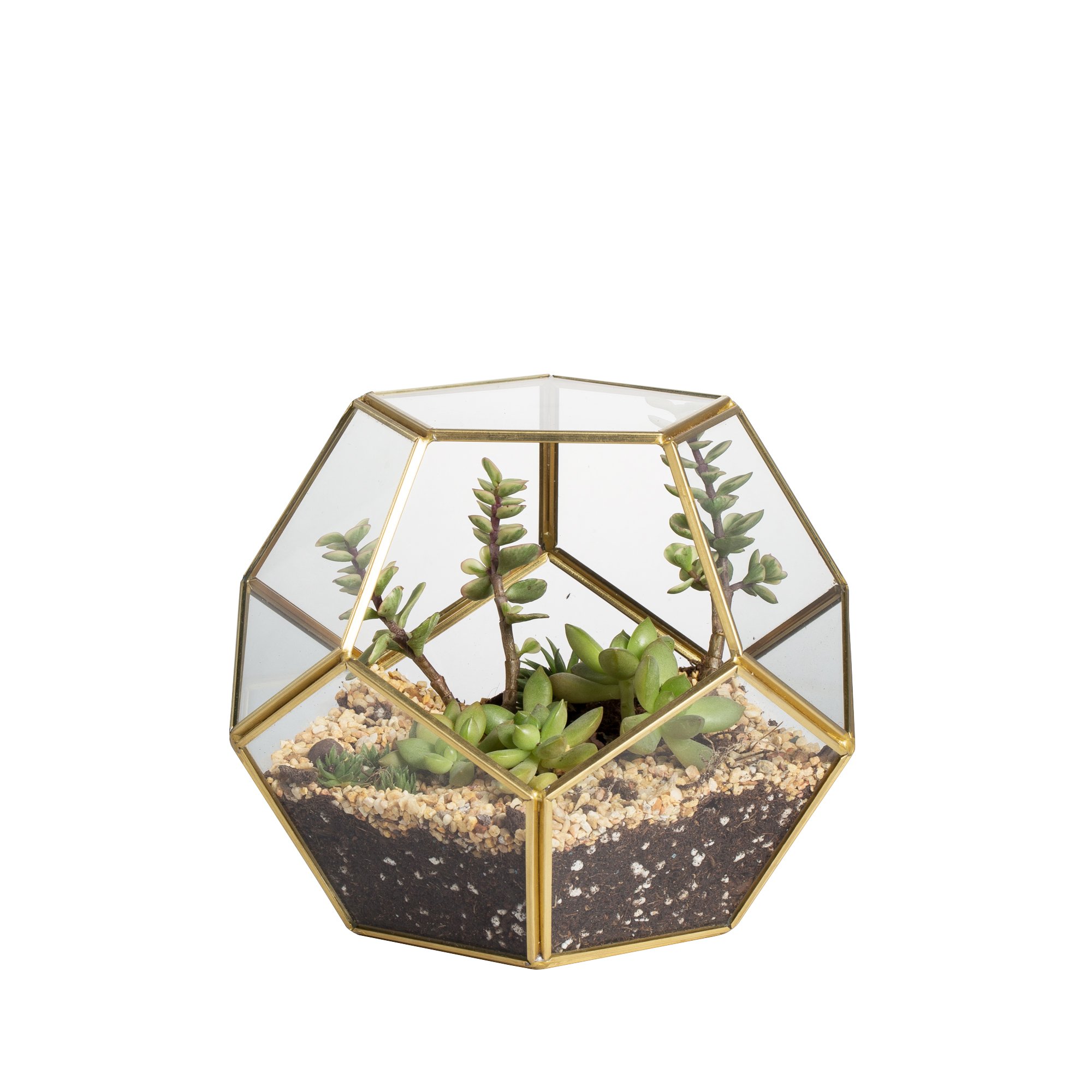 Geometric Glass Terrarium for Succulents - Elegant Brass Display Planter, Ideal for Weddings and Indoor Decor-image-ef6f6d6a-316d-4820-8ded-c6311d249797-2353