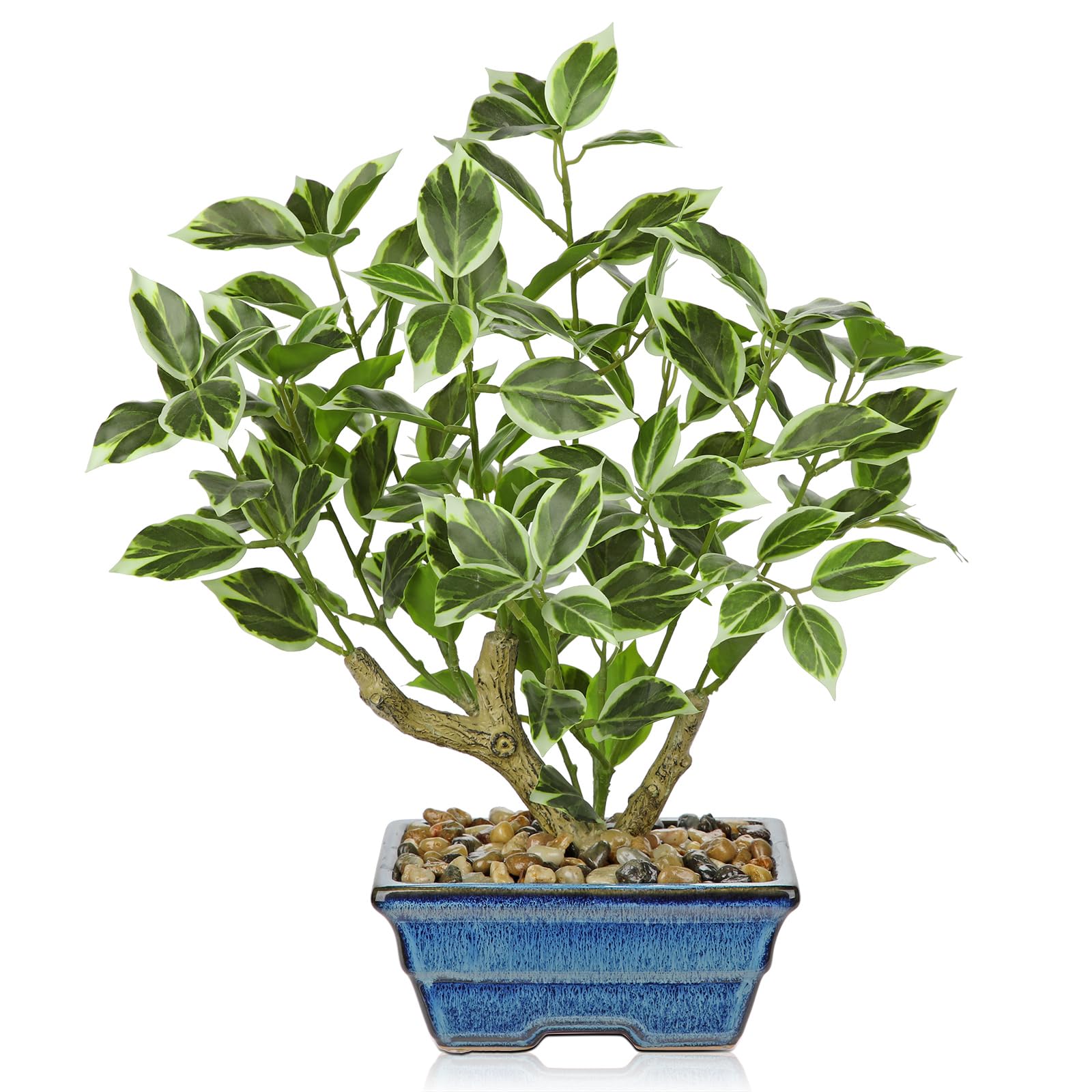Artificial Ficus Bonsai Tree - White Green 15.3"-image-b1e47bd1-a441-472d-a295-2cdb53c3fdba-2273