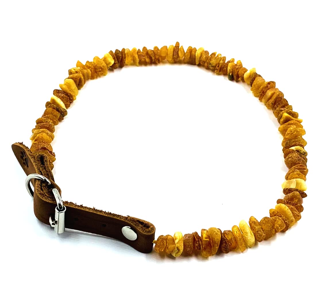 Baltic Amber Dog Collar - Natural Amber 40-45cm-image-15bb505a-9243-47af-92a2-b044db5b1373-110055