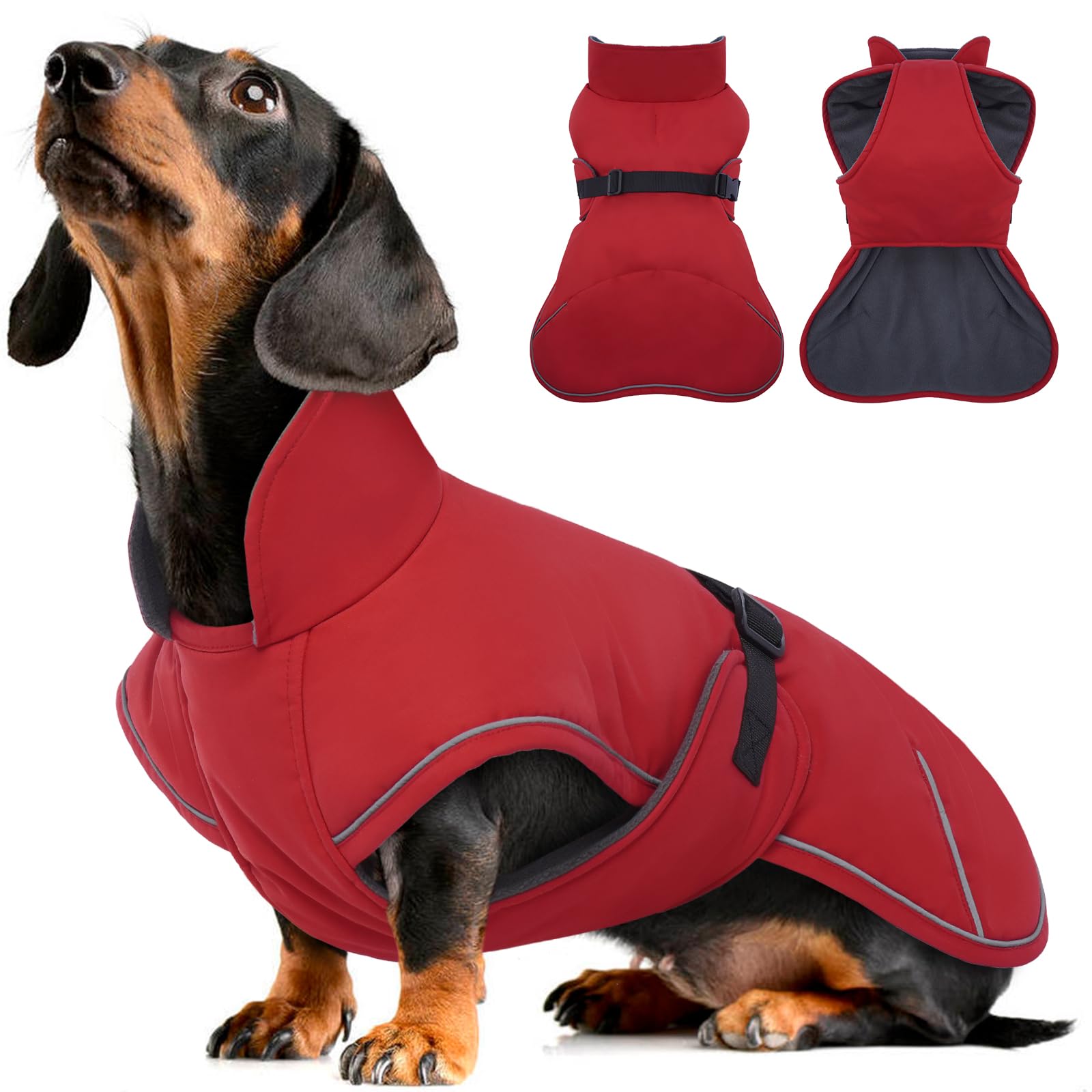 Waterproof Dachshund Coat - Red XL-image-a4684978-8731-4e2c-a9d1-8083e38d8ae1-110535