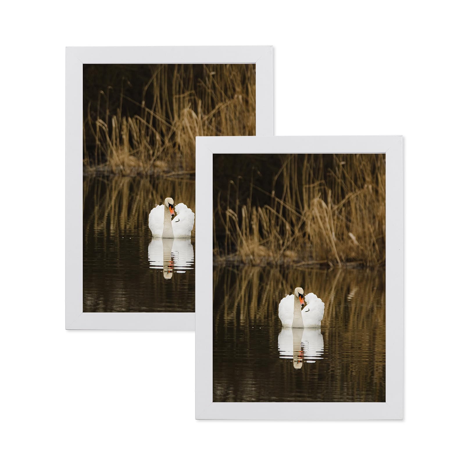 Elegant 8x10IN White Wooden Picture Frame Set of 3 with Perspex-image-20045869-d8c4-4fae-ade8-cccbdfcd5f9d-53908
