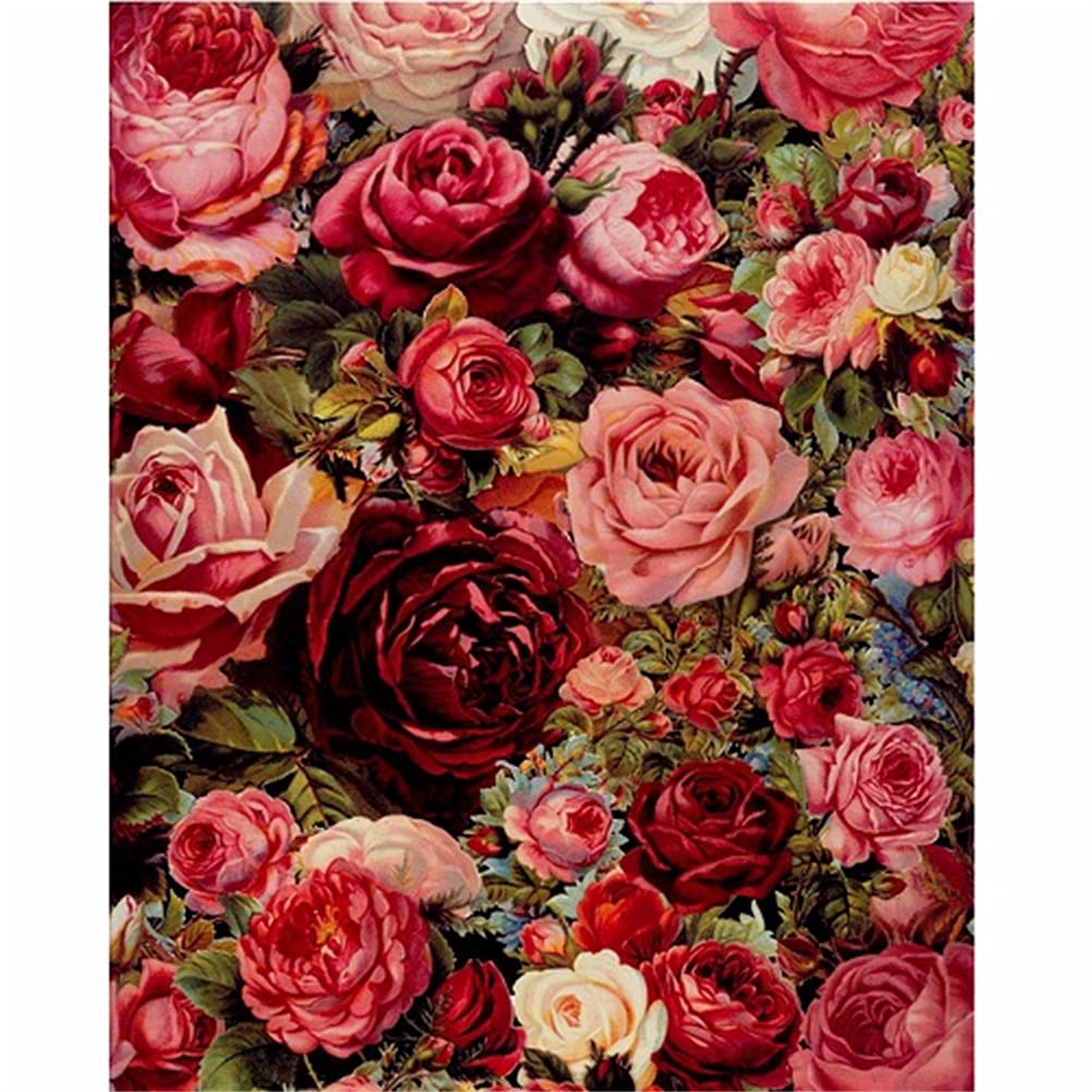 Meecaa Paint by Numbers Romantic Rose Kit for Adults – DIY Oil Painting 16x20in, Ideal for Beginners-image-f184faea-4ded-407b-a8a4-efda32780615-67719